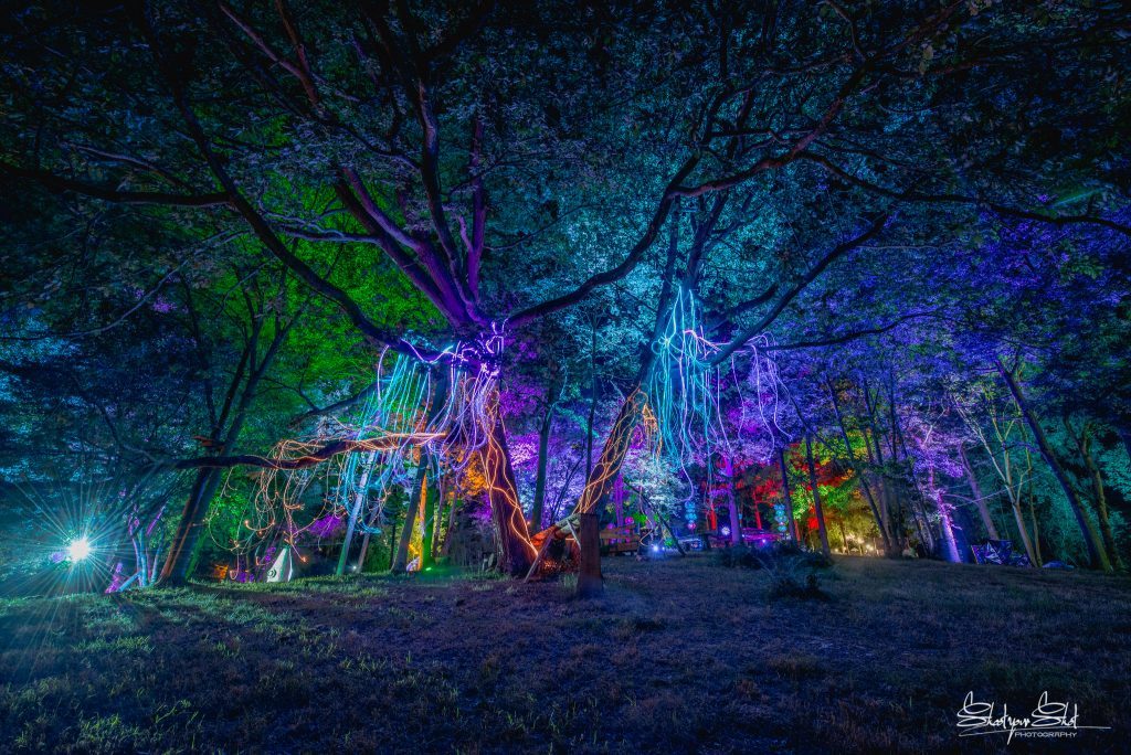 Noisily Festival 2018 - Electric Mode Review